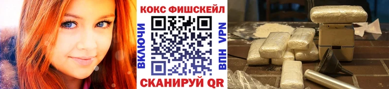 Купить закладки  Николаевск  КОКАИН Fish Scale 