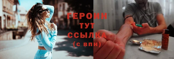 гидра Горно-Алтайск