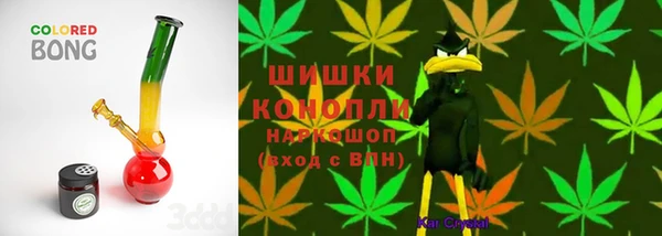 гидра Горно-Алтайск