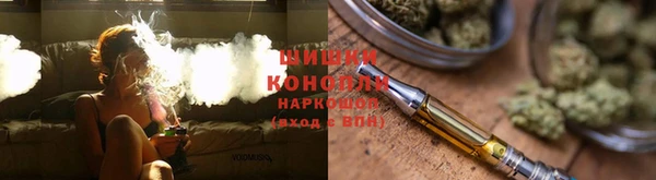 гидра Горно-Алтайск