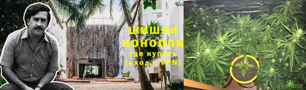 гидра Горно-Алтайск