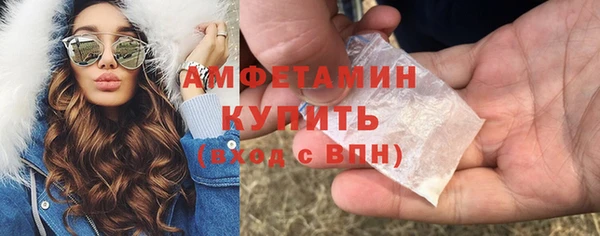 гидра Горно-Алтайск