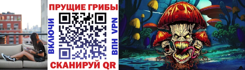 Псилоцибиновые грибы Psilocybine cubensis  Купить где  Николаевск 